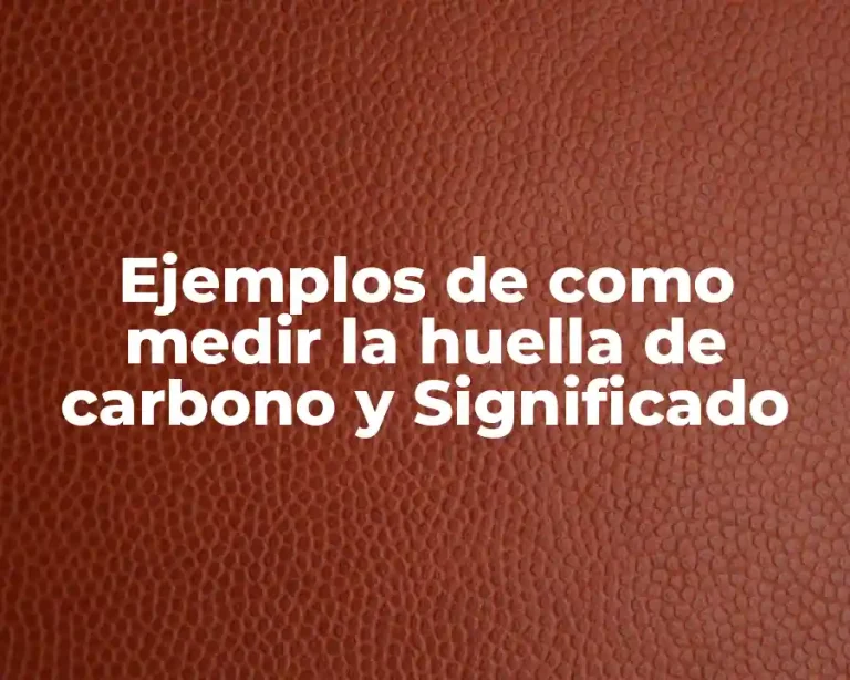 Ejemplos de como medir la huella de carbono y Significado