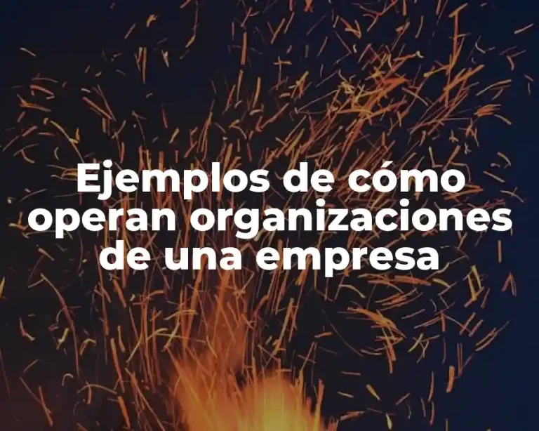 Ejemplos de cómo operan organizaciones de una empresa