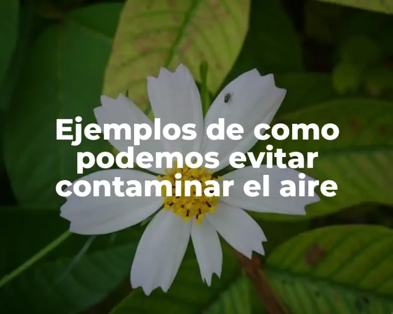 Ejemplos de como podemos evitar contaminar el aire