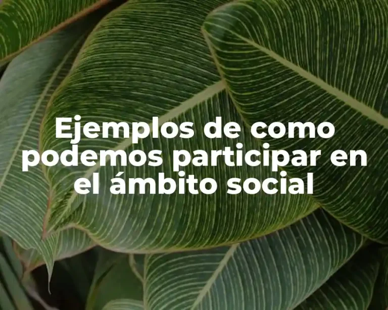 Ejemplos de como podemos participar en el ámbito social