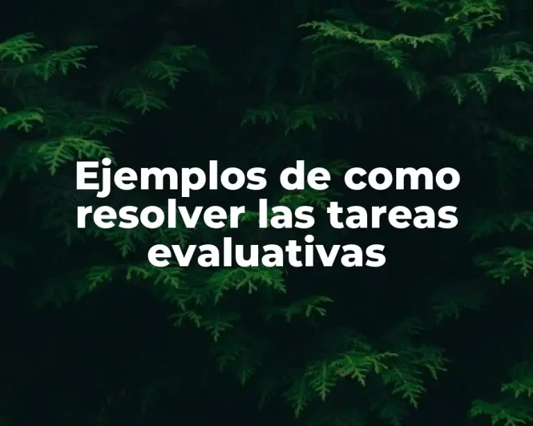 Ejemplos de como resolver las tareas evaluativas
