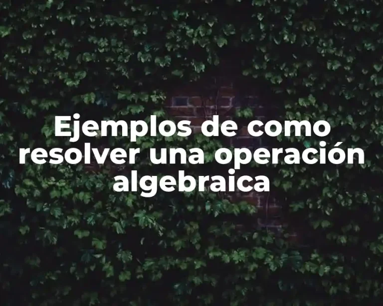 Ejemplos de como resolver una operación algebraica
