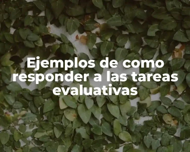 Ejemplos de como responder a las tareas evaluativas