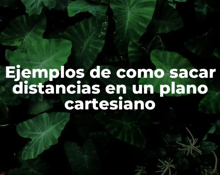 Ejemplos de como sacar distancias en un plano cartesiano