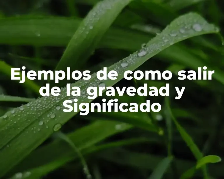 Ejemplos de como salir de la gravedad y Significado