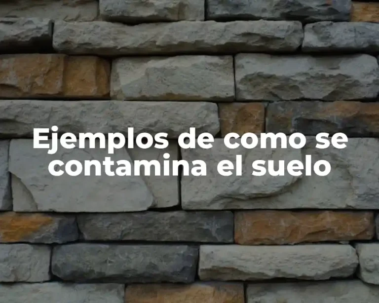 Ejemplos de como se contamina el suelo