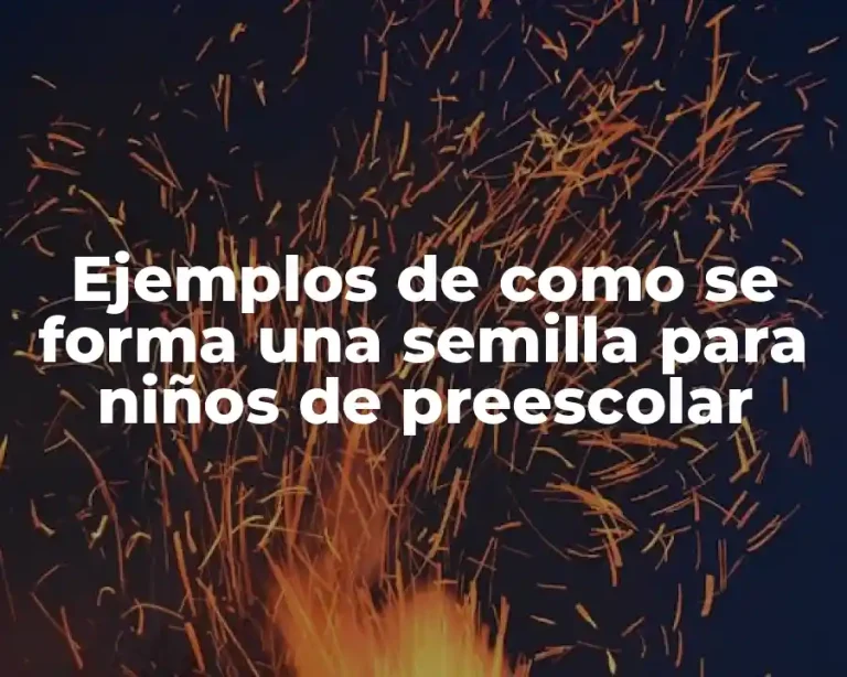 Ejemplos de como se forma una semilla para niños de preescolar