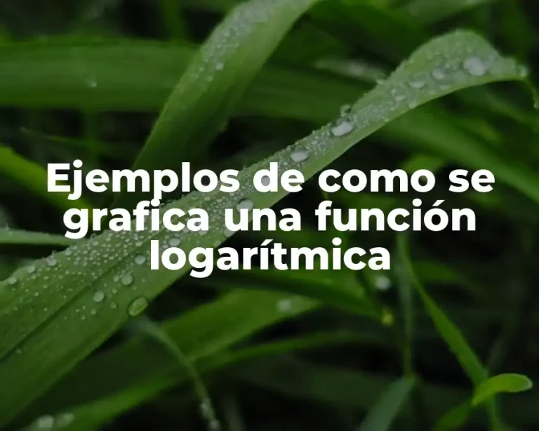 Ejemplos de como se grafica una función logarítmica