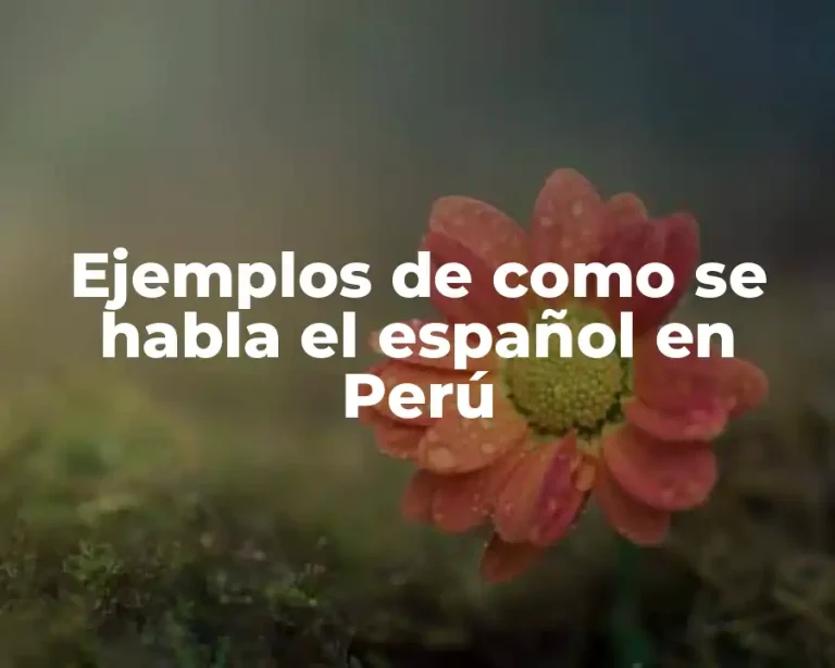 Ejemplos de como se habla el español en Perú