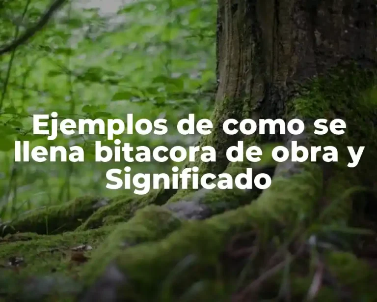 Ejemplos de como se llena bitacora de obra y Significado