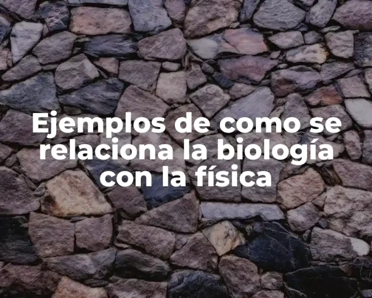Ejemplos de como se relaciona la biología con la física