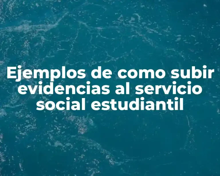 Ejemplos de como subir evidencias al servicio social estudiantil