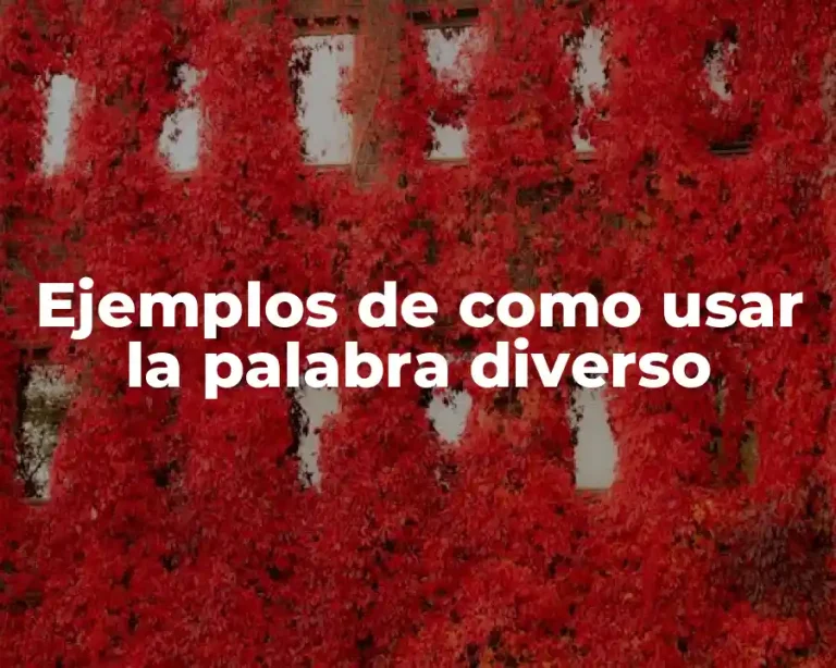 Ejemplos de como usar la palabra diverso