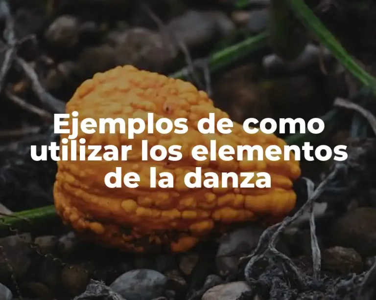 Ejemplos de como utilizar los elementos de la danza
