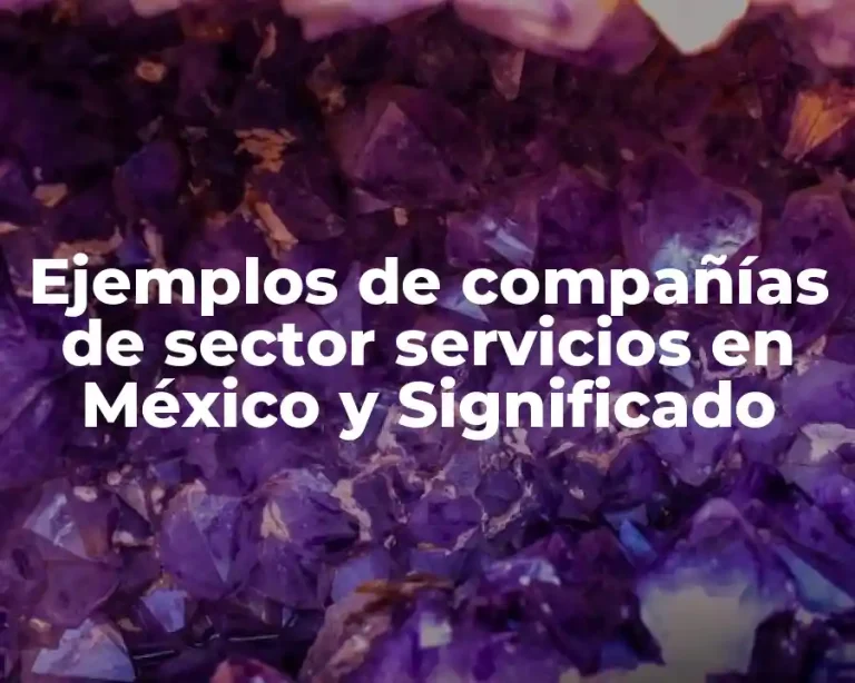Ejemplos de compañías de sector servicios en México y Significado