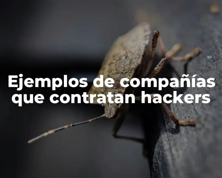 Ejemplos de compañías que contratan hackers
