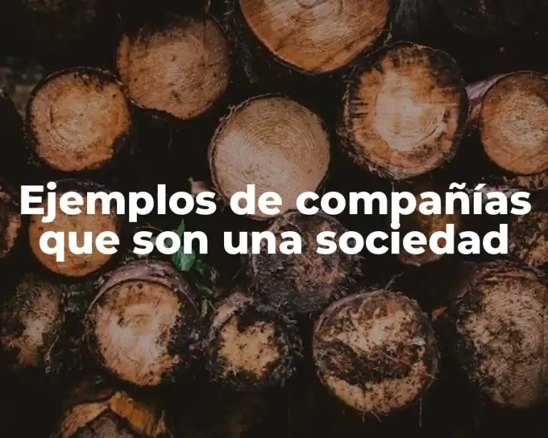 Ejemplos de compañías que son una sociedad