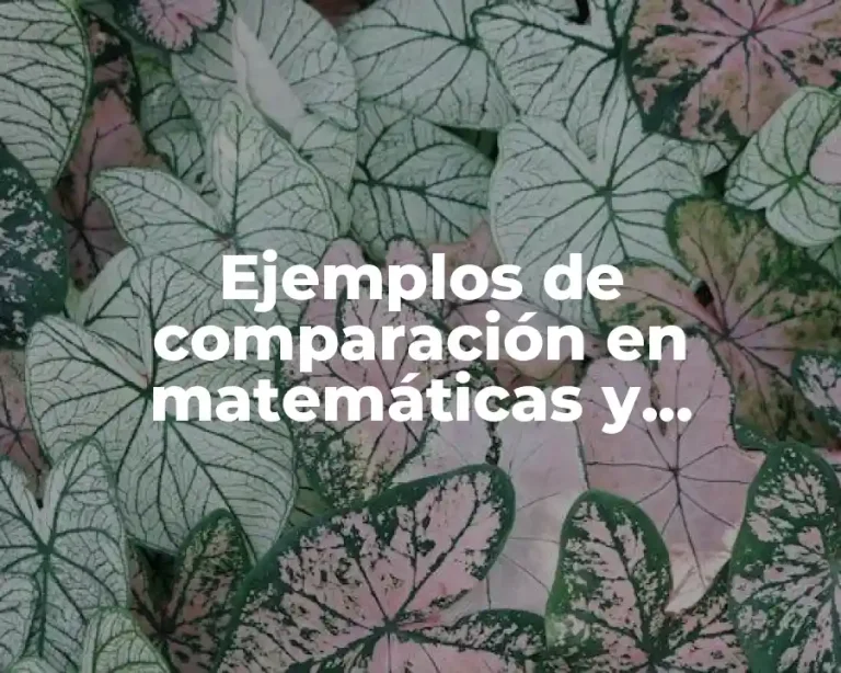 Ejemplos de comparación en matemáticas y Significado