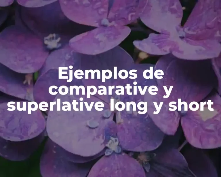 Ejemplos de comparative y superlative long y short