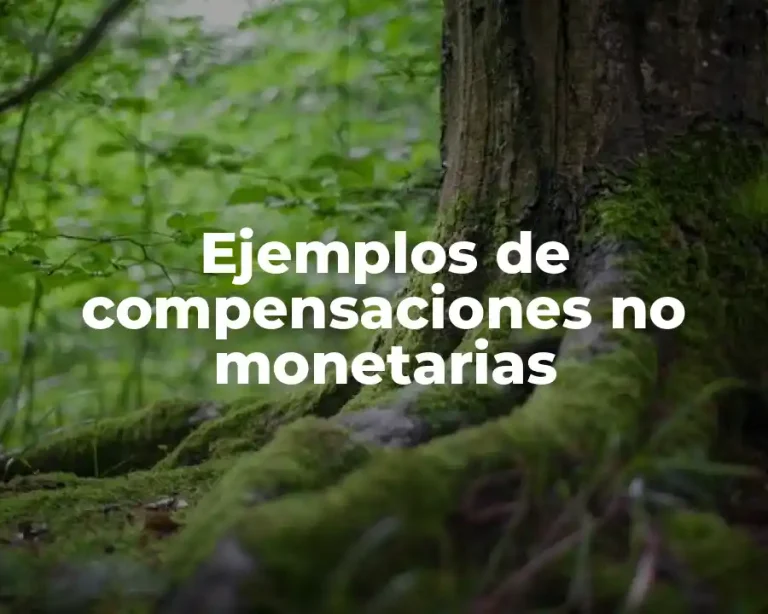 Ejemplos de compensaciones no monetarias