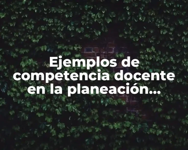 Ejemplos de competencia docente en la planeación didáctica y Significado