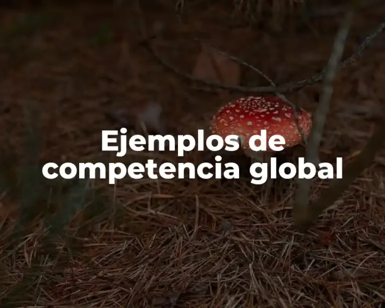 Ejemplos de competencia global