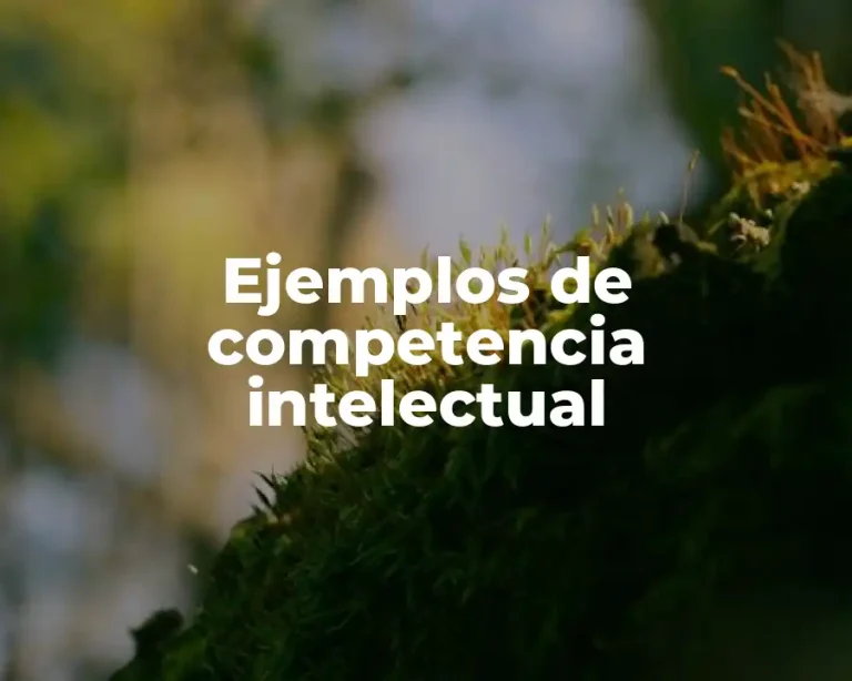 Ejemplos de competencia intelectual