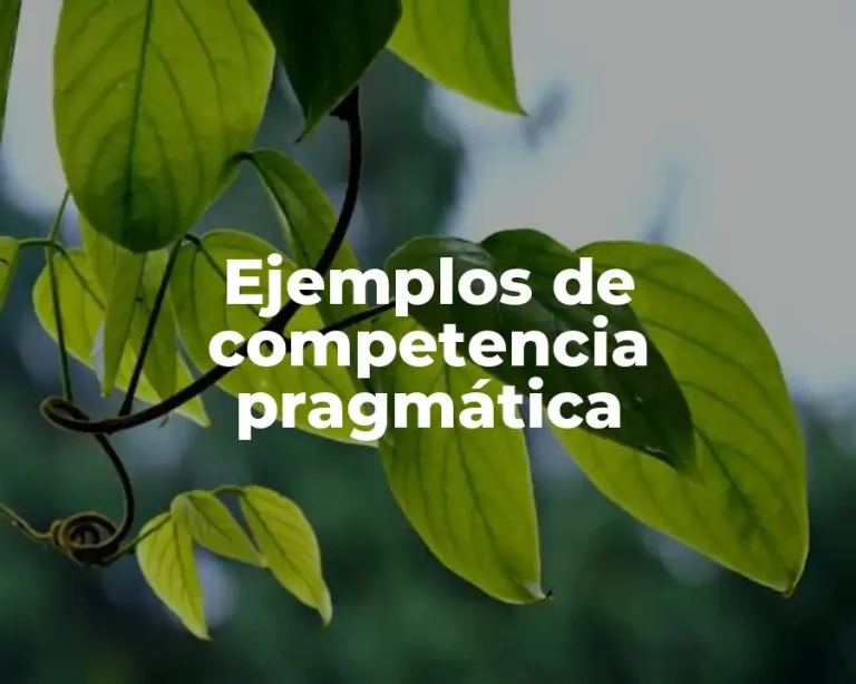 Ejemplos de competencia pragmática