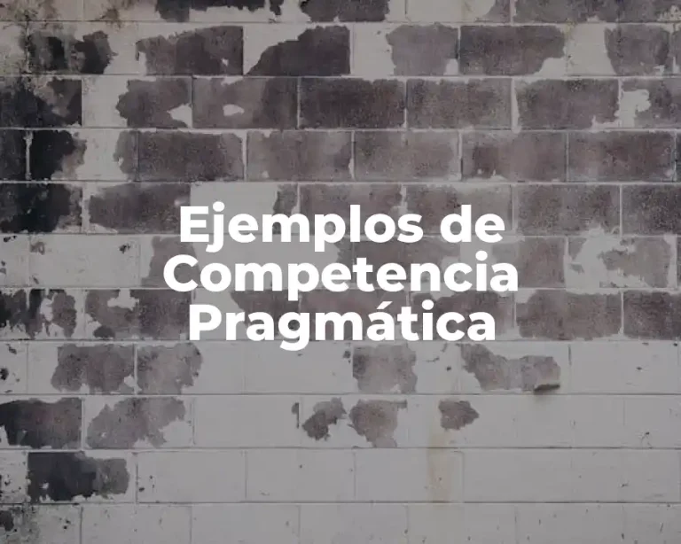Ejemplos de Competencia Pragmática