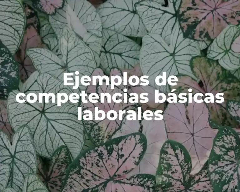Ejemplos de competencias básicas laborales
