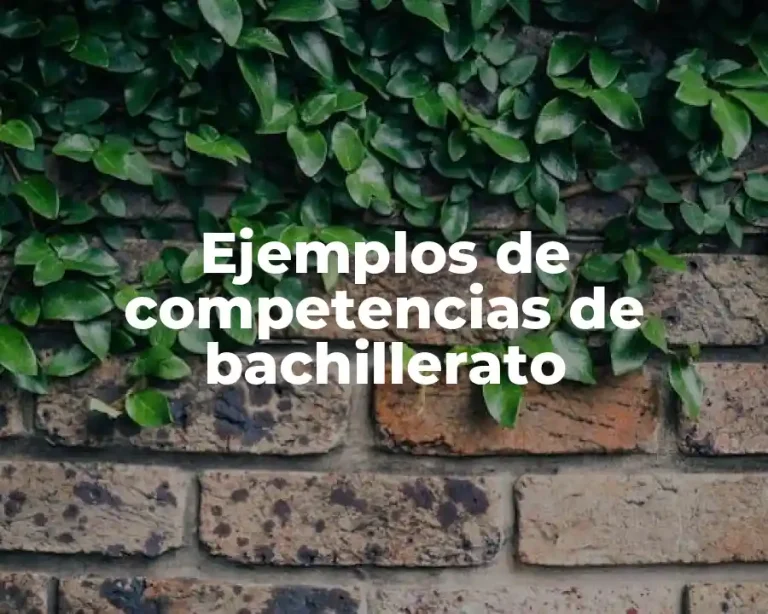 Ejemplos de competencias de bachillerato