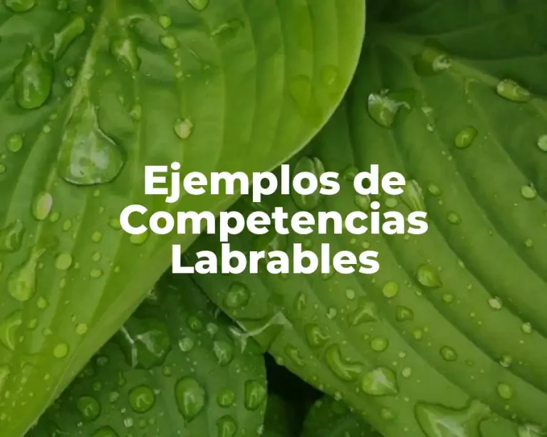 Ejemplos de Competencias Labrables