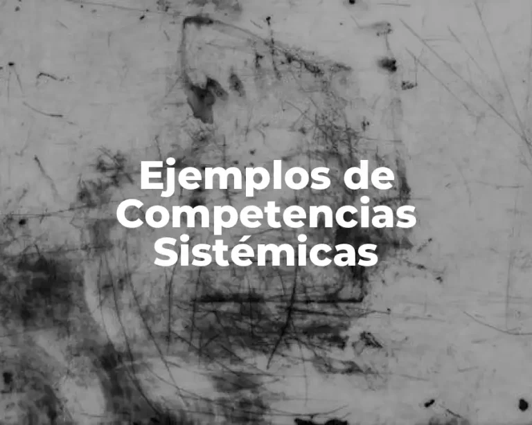 Ejemplos de Competencias Sistémicas