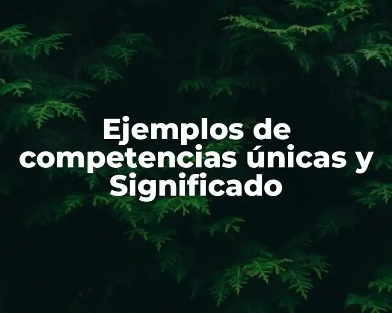 Ejemplos de competencias únicas y Significado