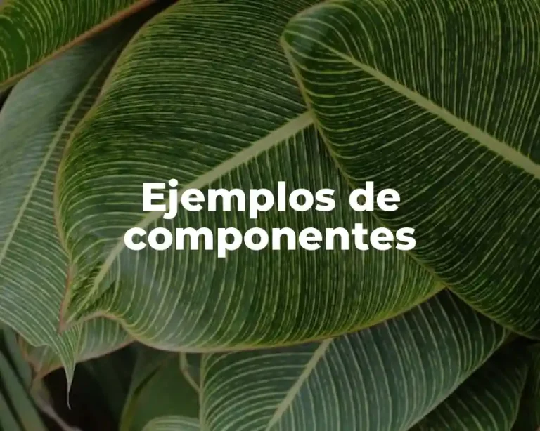 Ejemplos de componentes