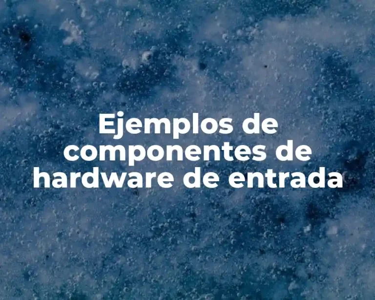 Ejemplos de componentes de hardware de entrada