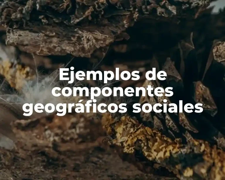 Ejemplos de componentes geográficos sociales