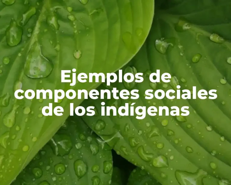 Ejemplos de componentes sociales de los indígenas