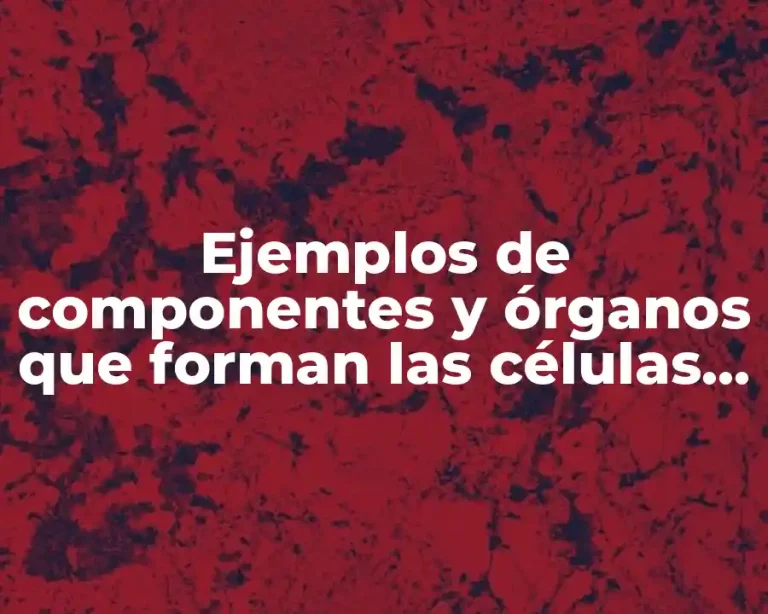 Ejemplos de componentes y órganos que forman las células óseas