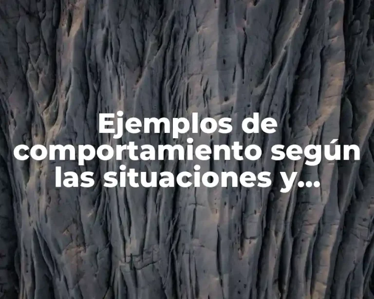 Ejemplos de comportamiento según las situaciones y Significado