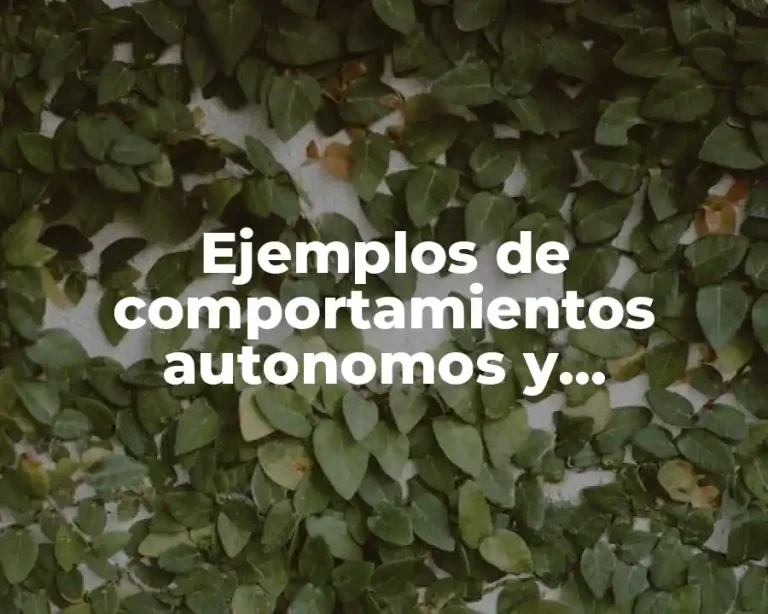Ejemplos de comportamientos autonomos y heteronomos