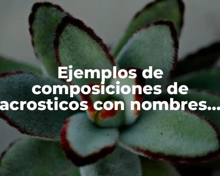 Ejemplos de composiciones de acrosticos con nombres propios