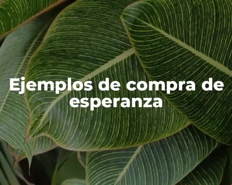 Ejemplos de compra de esperanza