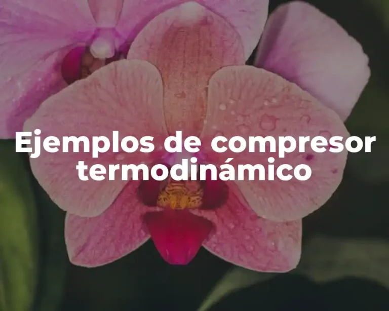 Ejemplos de compresor termodinámico