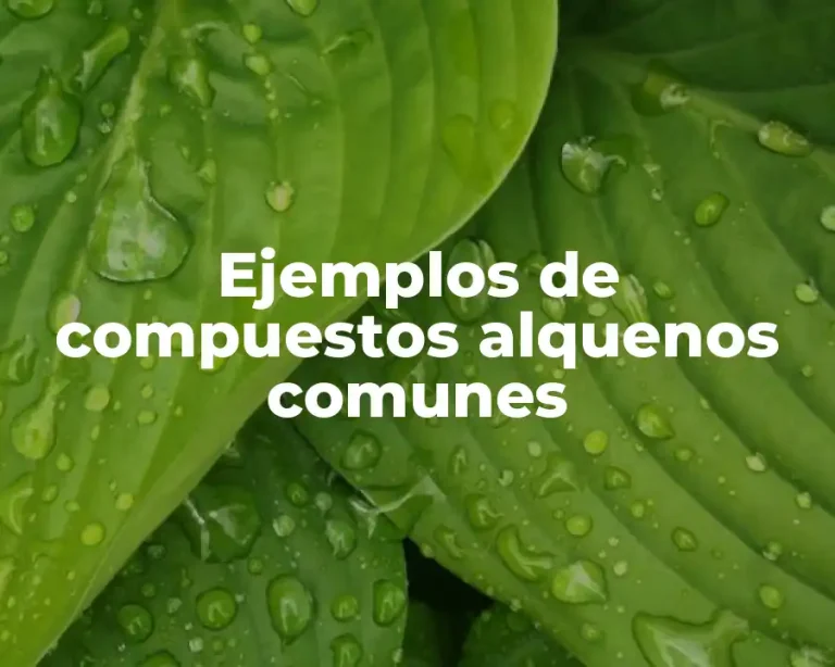 Ejemplos de compuestos alquenos comunes