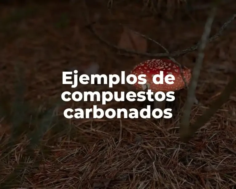 Ejemplos de compuestos carbonados