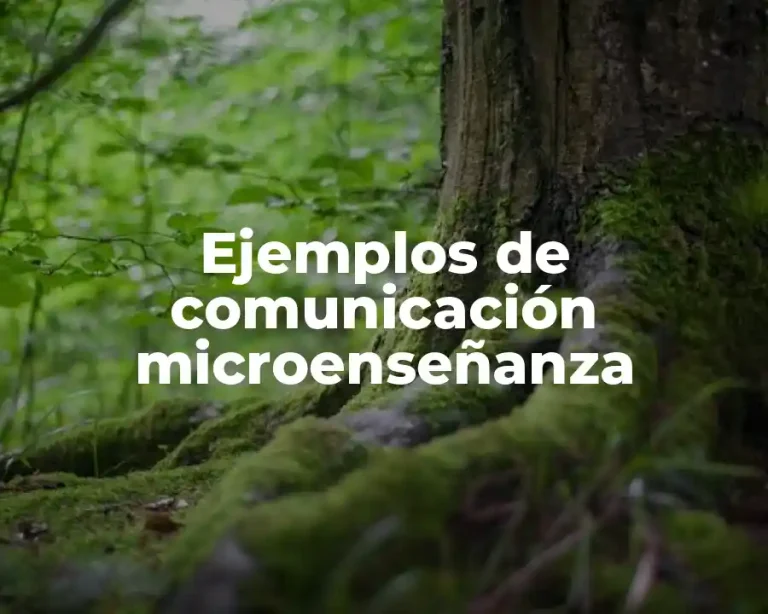 Ejemplos de comunicación microenseñanza