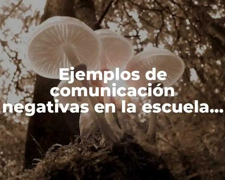 Ejemplos de comunicación negativas en la escuela y Significado
