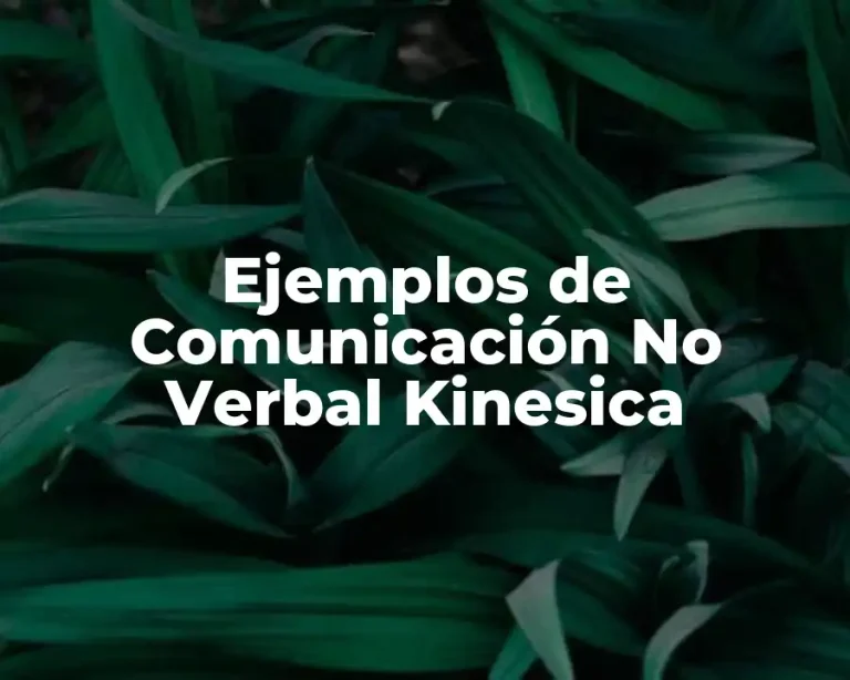 Ejemplos de Comunicación No Verbal Kinesica