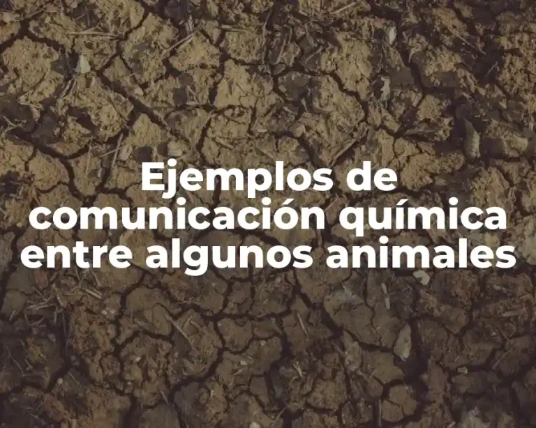Ejemplos de comunicación química entre algunos animales